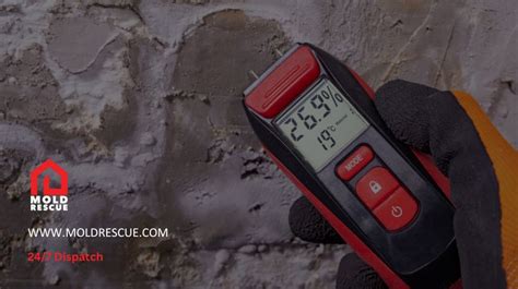 The Definitive Guide to Choosing the Right Mold Detection Meter.